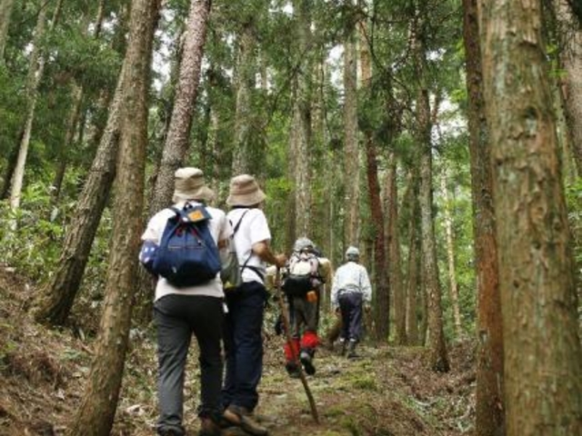 歴史の道100選「宮津街道大江山普甲峠越え」_宮津街道普甲峠越