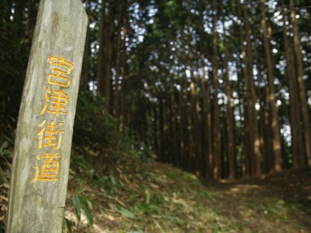 歴史の道100選「宮津街道大江山普甲峠越え」_宮津街道普甲峠越