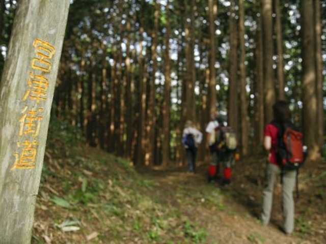 歴史の道100選「宮津街道大江山普甲峠越え」_宮津街道普甲峠越