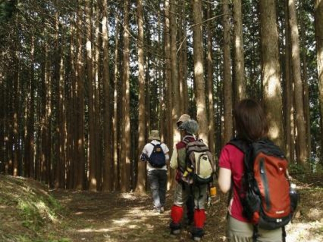 歴史の道100選「宮津街道大江山普甲峠越え」_宮津街道普甲峠越