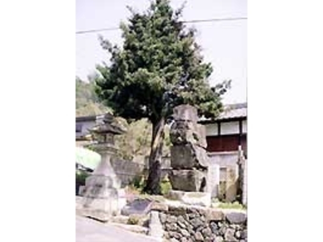 小町塚の写真1