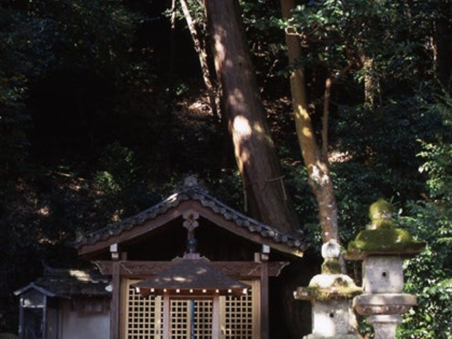 鹿背山不動の写真1