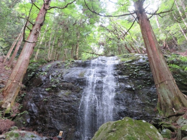 五光の滝の写真1