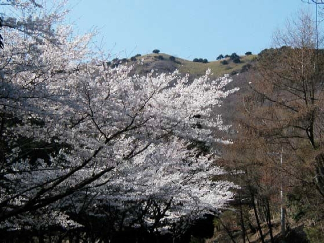 生野高原