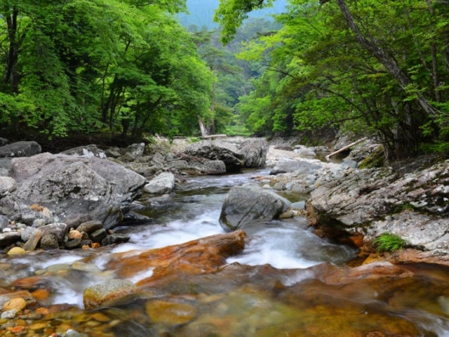 黒川渓谷の写真1