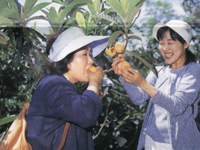 大石観光びわ園