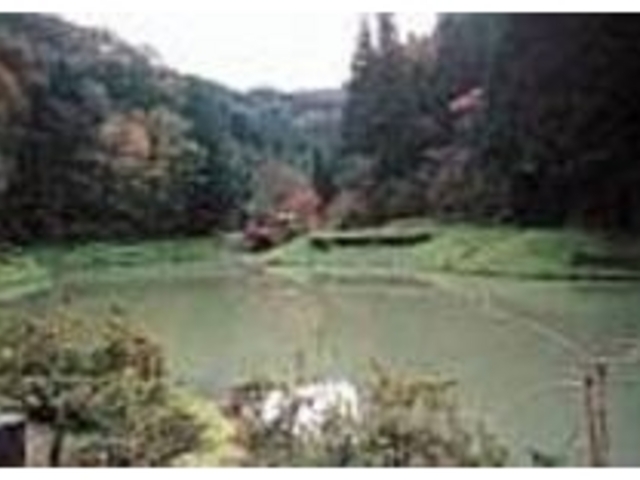 湖を取り囲む自然の美しさに心が和む_玉泉湖