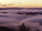 佐用の朝霧の写真1