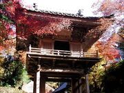 岩瀧寺の紅葉の写真1