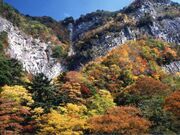 小太郎岩の写真1