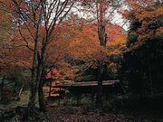 象の小川の写真1