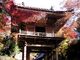 岩瀧寺の紅葉の写真2