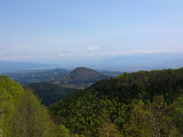 白鷹山の写真1