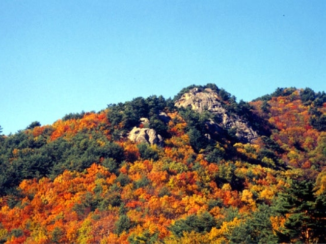 大師岩の紅葉の写真1
