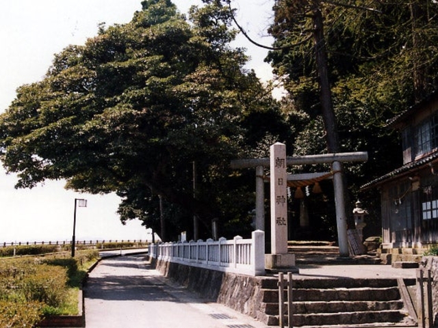 朝日社叢_朝日社叢