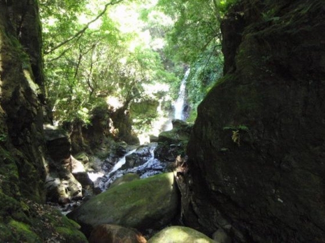 雉ケ尾の滝の写真1