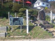 大聖寺の紅しだれ桜の写真1