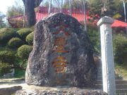 大聖寺の紅しだれ桜の写真2