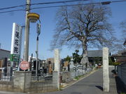 蓮花院のムクの写真1