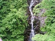 檜原都民の森の写真3