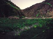 ほたるの里 ほたるの館の写真2