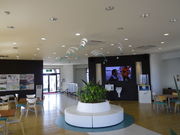 風の見える丘公園の水仙の写真3