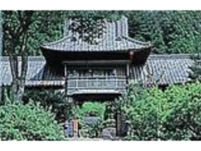 矢本家重層門の写真1