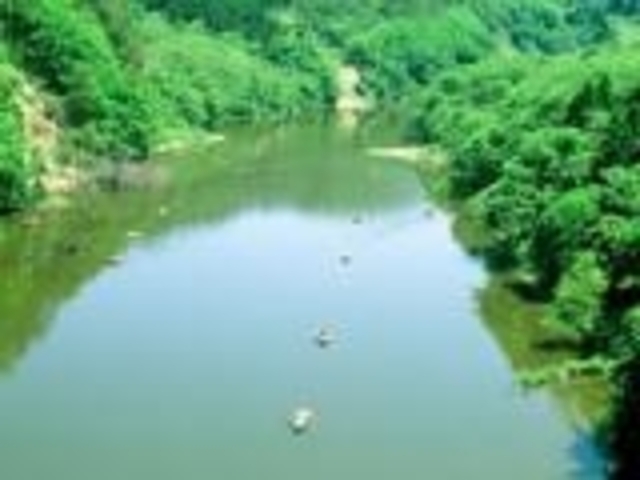 川前へら鮒つりの写真1