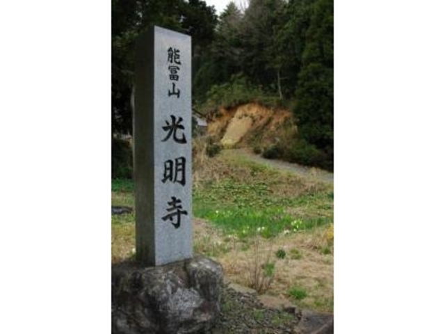 光明寺の水芭蕉の写真1