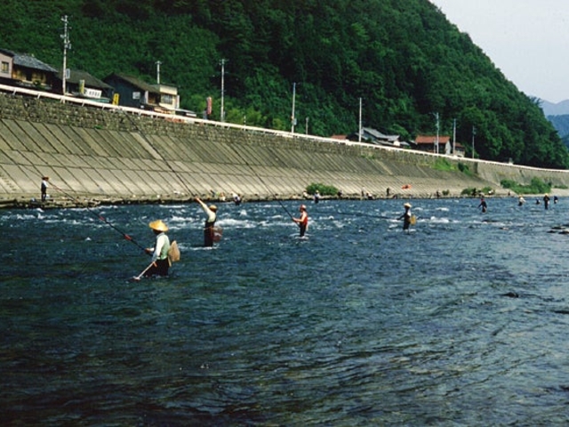 長良川(中流域)