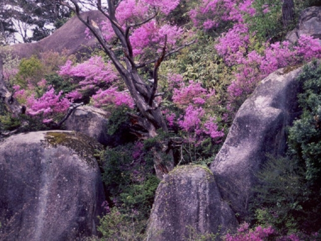 大師山巨岩群の写真1