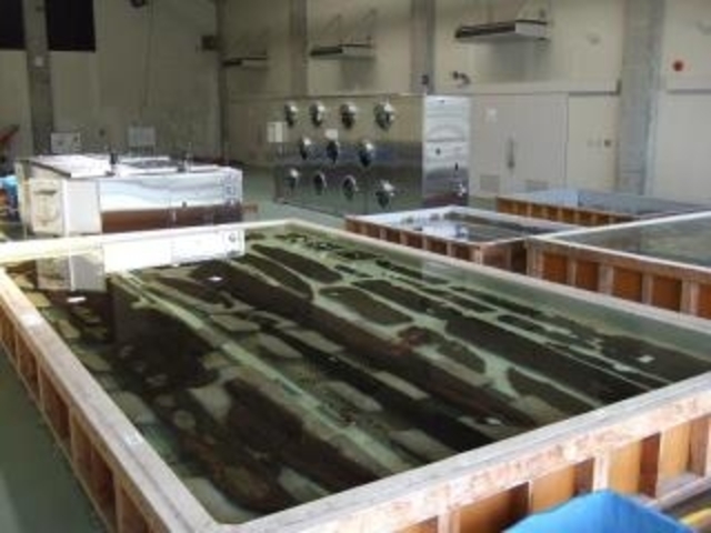 松浦市立埋蔵文化財センター