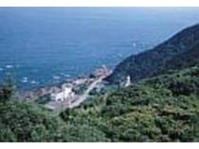 室戸青年大師像やビジャゴ巌にも近い_レストラン明星