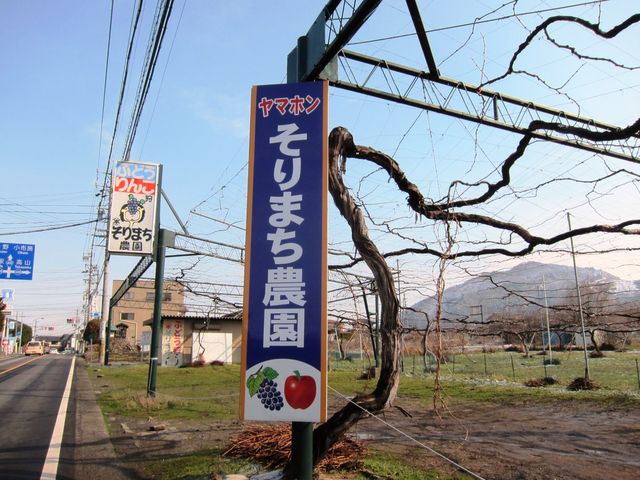 ヤマホンそりまち農園