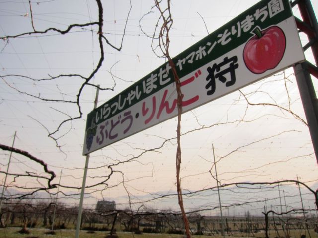 ヤマホンそりまち農園