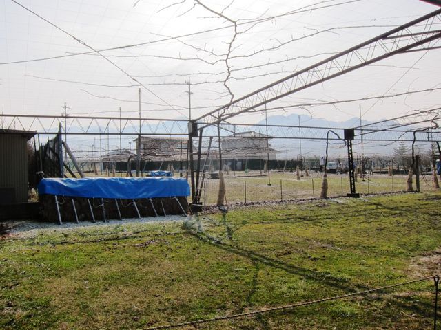 ヤマホンそりまち農園