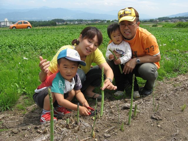 アスパラ狩りイメージ_はびろ農業公園みはらしファーム