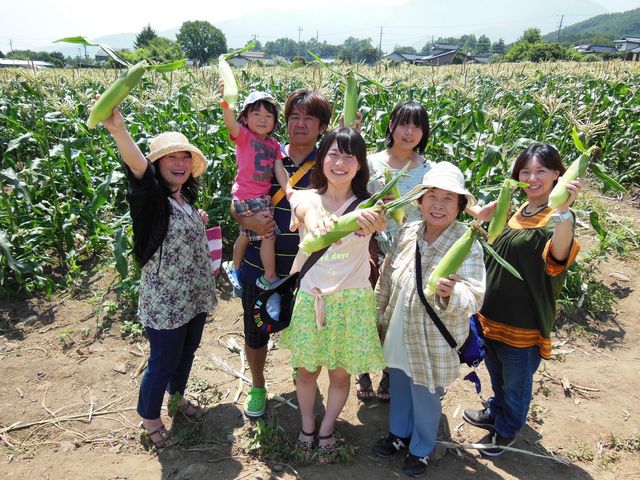 スイートコーン狩りイメージ_はびろ農業公園みはらしファーム