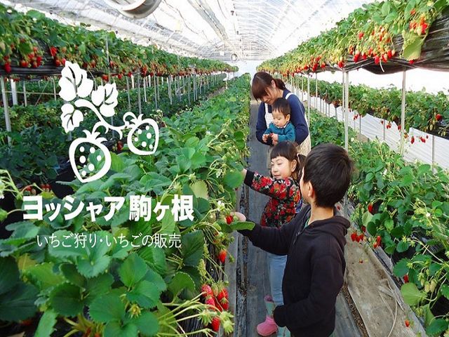 ハウスの中はとっても暑かったり寒かったり、気温差が激しいので、温度調節のできる格好でお越しください。_ヨッシャア駒ヶ根