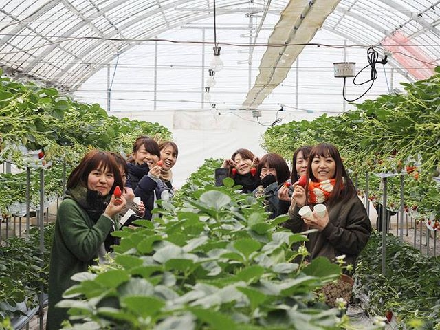 みんなでいちご狩りをしよう!_ヨッシャア駒ヶ根