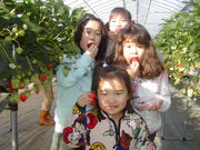 はびろ農業公園みはらしファームの写真4
