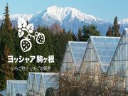 ヨッシャア駒ヶ根の写真2
