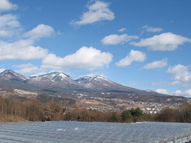 こもろ布引いちご園の写真1
