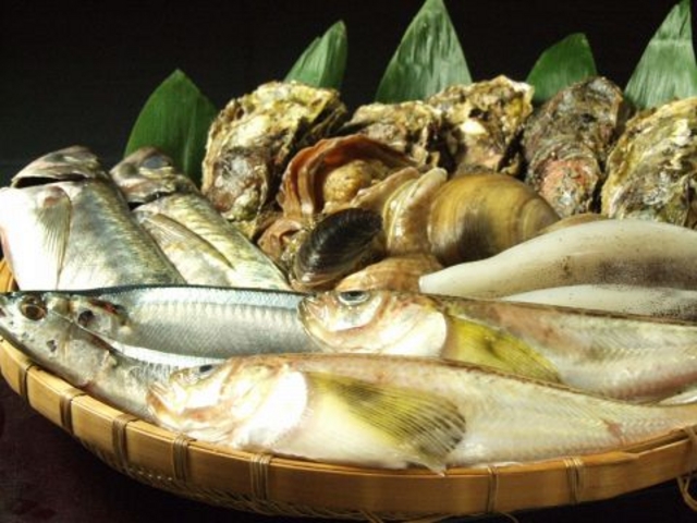 とりで 石神井公園の写真1