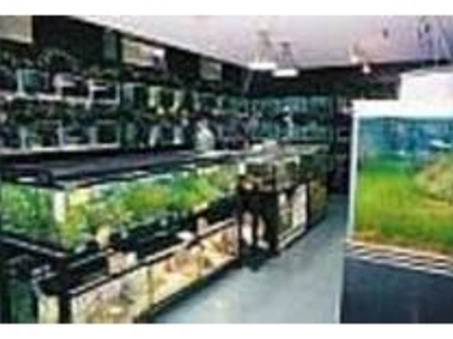 水族館気分で、気軽に覗いてみよう_スタジオ・ポアソン