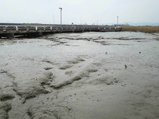 海遊ふれあいパーク