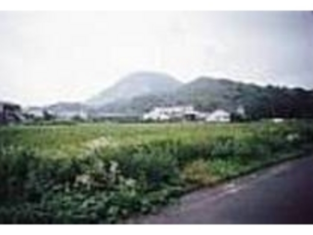 小高い山の頂上に本丸の遺構が残っている_松山城跡