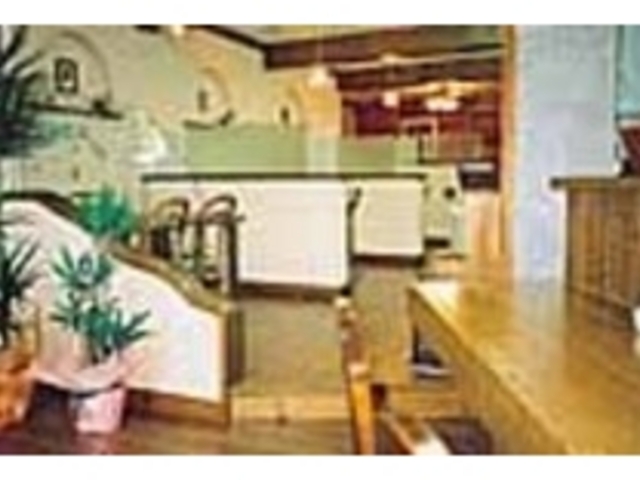 木に囲まれてゆったりとおしゃれな店内_旨い食処 あごら