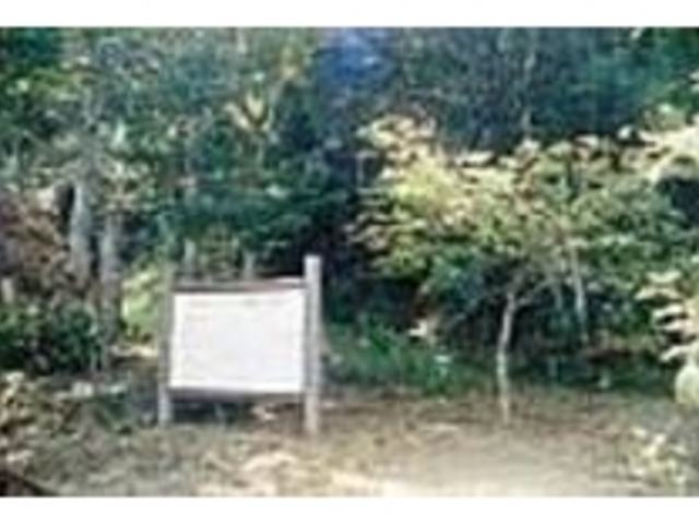 この奥にある清流は、昔の人には重要だった_ヨリアゲの森緑地公園