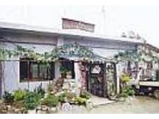 壁や入口に配された草木が自然を感じさせる_沖縄伝統木灰そばの店 むかしむかし